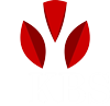会社名